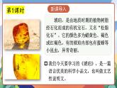 人教部编版语文四年级下册 5《琥珀》课件+教案+学习单+素材