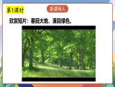 人教部编版语文四年级下册 10《绿》课件+教案+学习单+素材