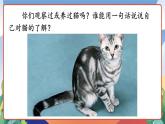 人教部编版语文四年级下册 13《猫》课件+教案+学习单