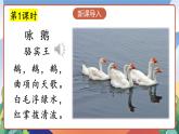 人教部編版語文四年級下冊 15《白鵝》課件+教案+學習單+素材