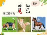 语文统编版（2024）一年级上册 8 比尾巴课件