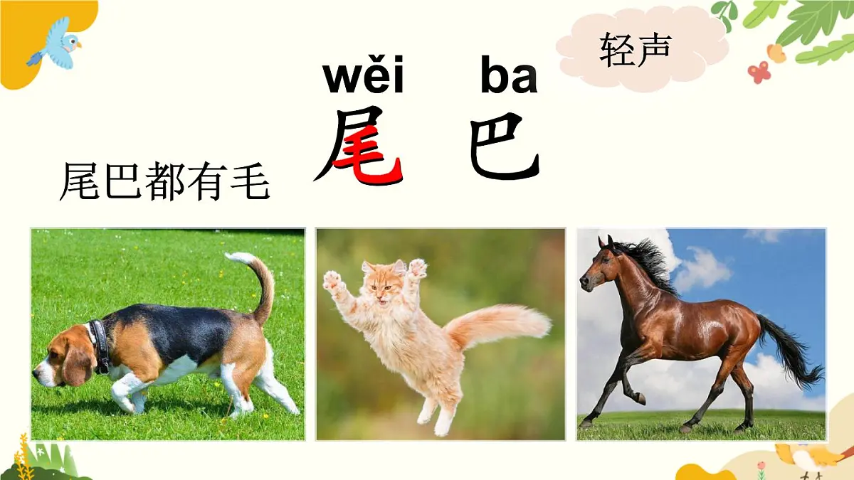 语文统编版（2024）一年级上册 8 比尾巴课件第4页