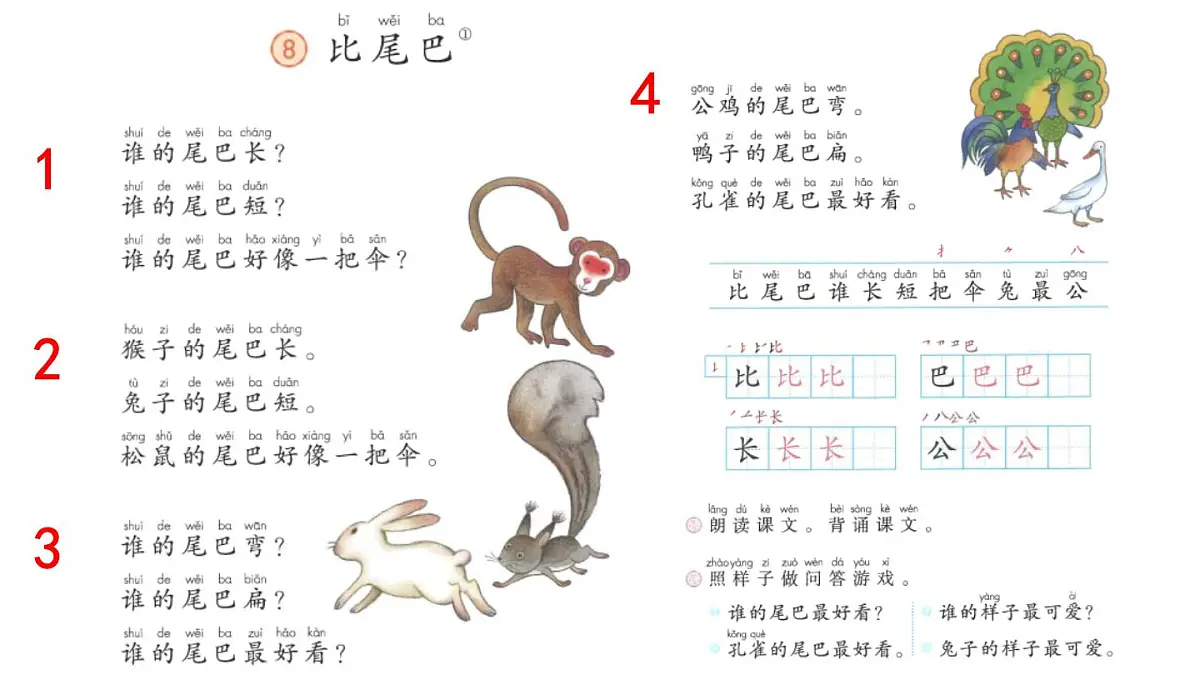 语文统编版（2024）一年级上册 8 比尾巴课件第6页
