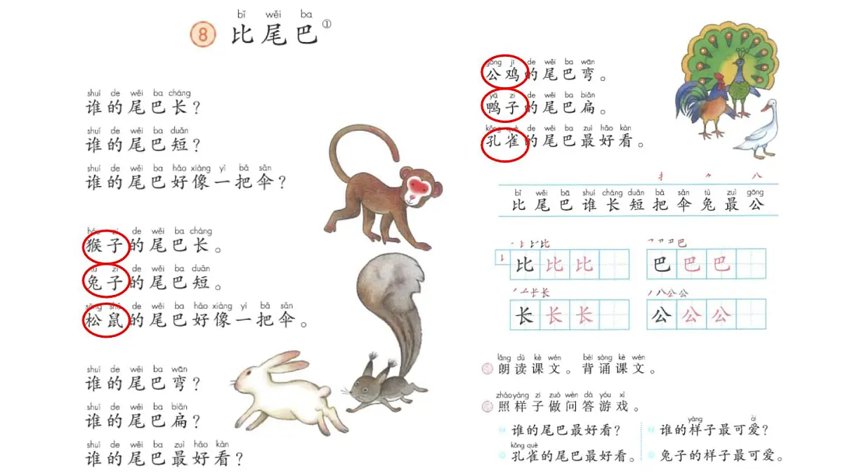 语文统编版（2024）一年级上册 8 比尾巴课件第8页