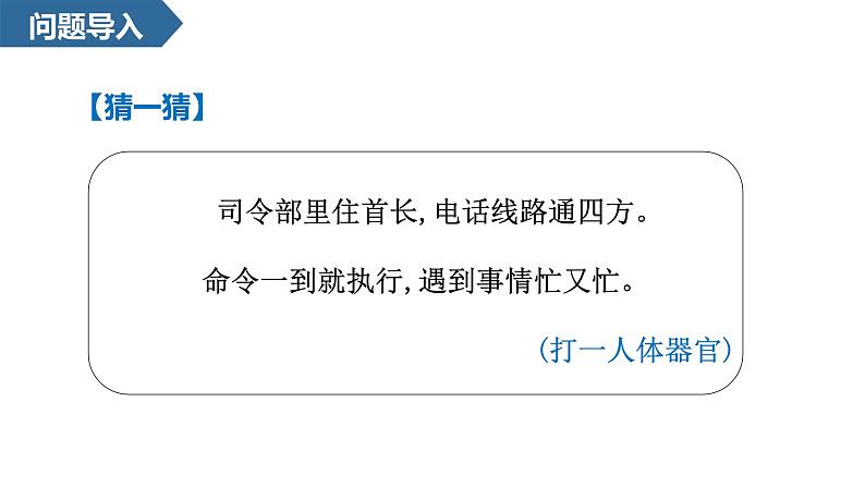 2024年秋一年级上册7两件宝 课件第4页