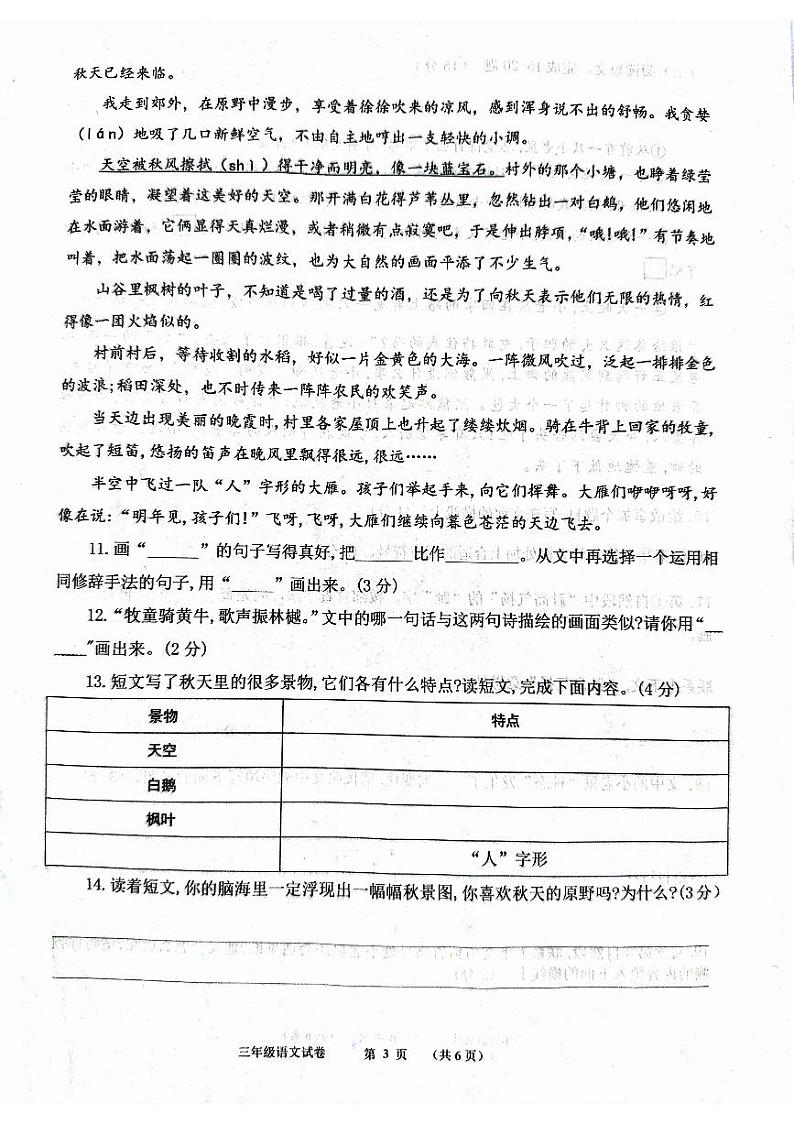 河南省郑州市中原区2024-2025学年三年级上学期11月期中语文试题03