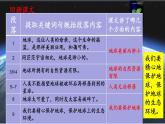 统编版语文六年级上册第19课《只有一个地球》教学课件
