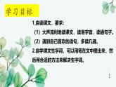 统编版语文五年级上册第18课《慈母情深》课件