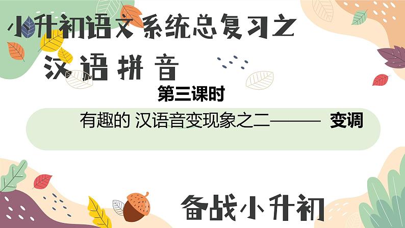 3小升初汉语拼音总复习——变调第1页