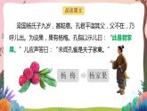 人教部编版语文五年级下册 第二十一课《杨氏之子》第二课时 课件+教案+分层练习+学习任务单