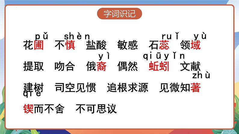 人教部编版语文六年级下册 15《真理诞生于一百个问号之后》课件07