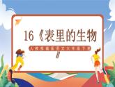 人教部編版語(yǔ)文六年級(jí)下冊(cè) 16《表里的生物》課件