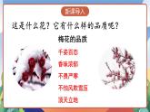 人教部编版语文五年级下册 4《梅花魂》课件+教案