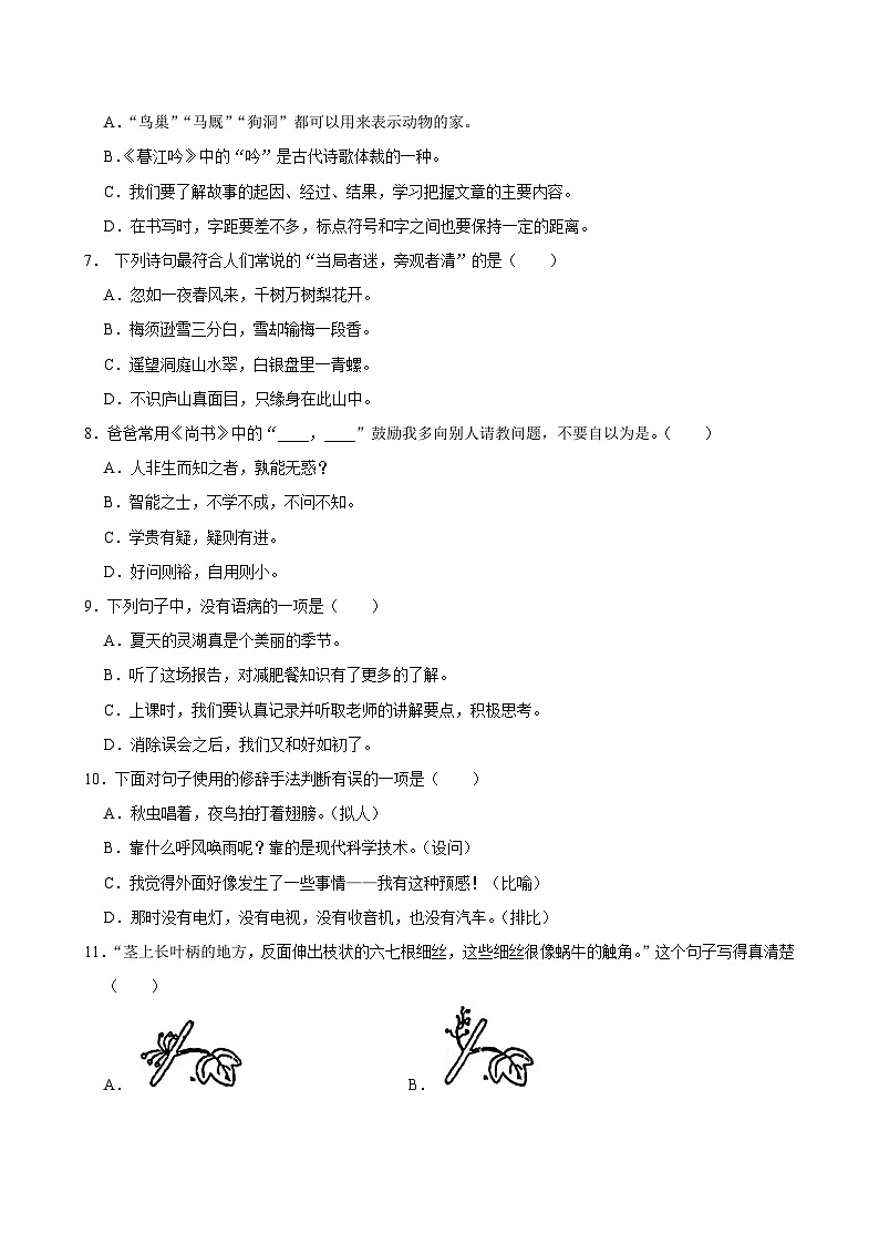 江苏省淮安市洪泽区实验小学等四校联考2024-2025学年四年级上学期11月期中语文试题第2页