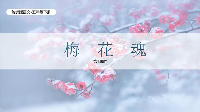 梅花魂（1课时）第1页