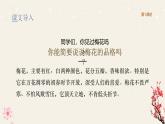 統(tǒng)編版語(yǔ)文五年級(jí)下冊(cè)第1單元4《梅花魂》課件1課時(shí)+教案+字體