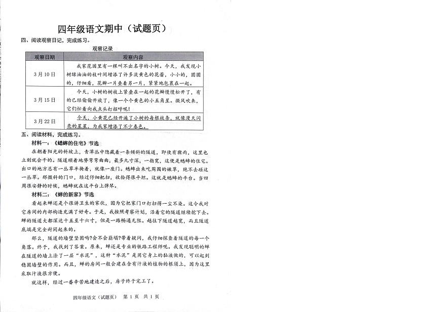 山东省日照市岚山区2024-2025学年四年级上学期11月期中语文试题第1页