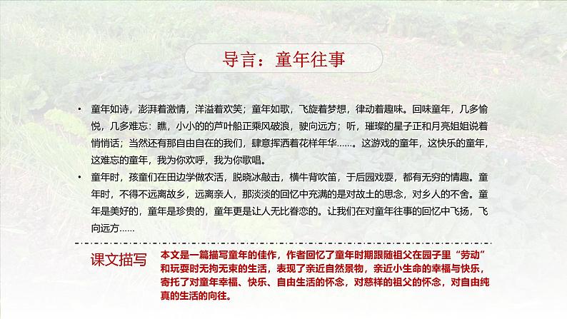 祖父的园子（2课时）（含课堂练习、课后习题、课外练习）第3页