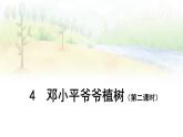 部编版语文二年级下册 第1单元 4 邓小平爷爷植树（第二课时） PPT课件