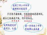 部编版语文二年级下册 第1单元 4 邓小平爷爷植树（第二课时） PPT课件
