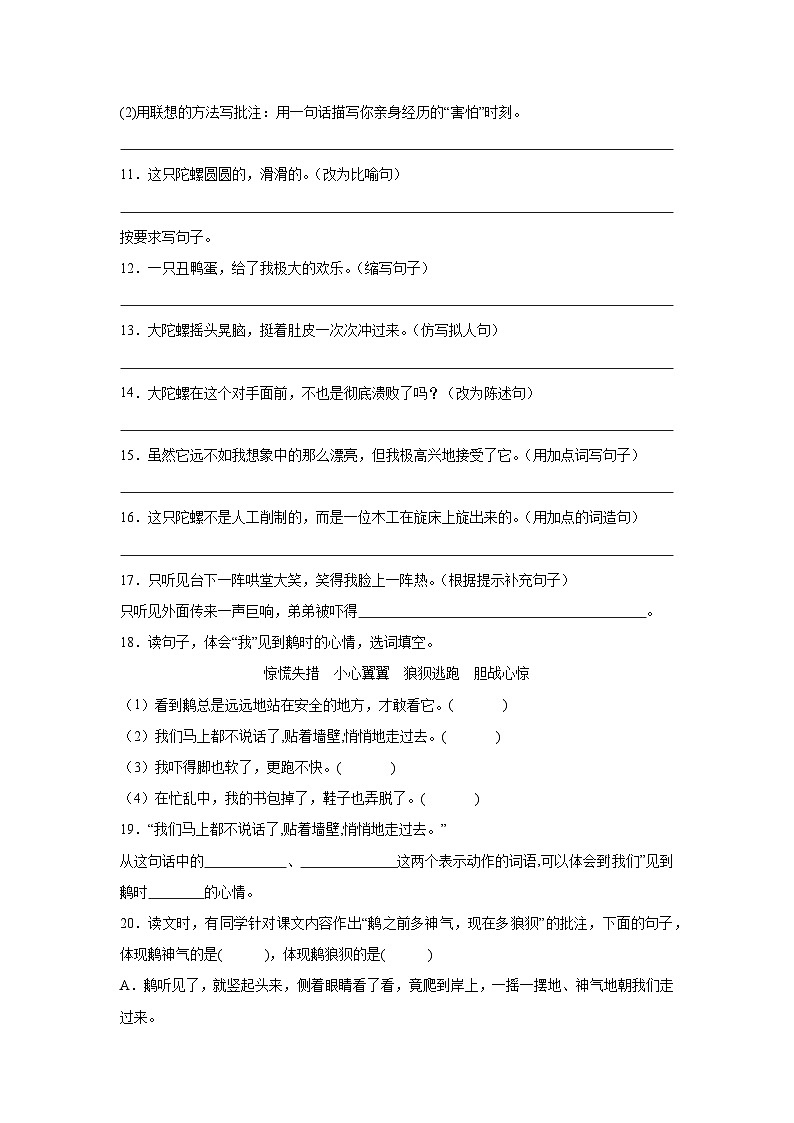 第6单元 题型专练（句法实践）-2024-2025学年语文部编版4年级上册（含答案解析）第3页