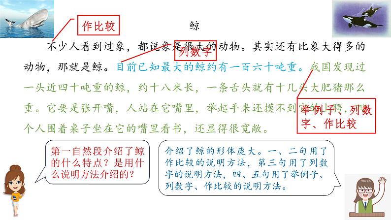 《介绍一种事物》习作教学课件第4页