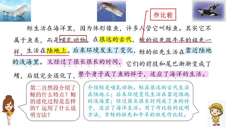 《介绍一种事物》习作教学课件第5页