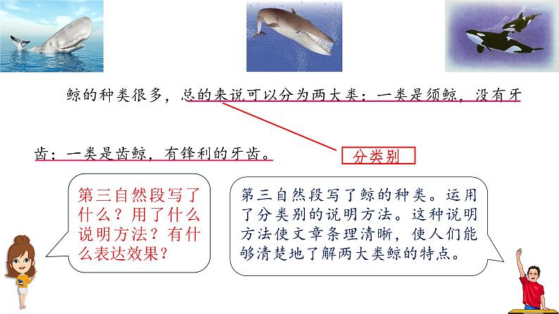 《介绍一种事物》习作教学课件第6页