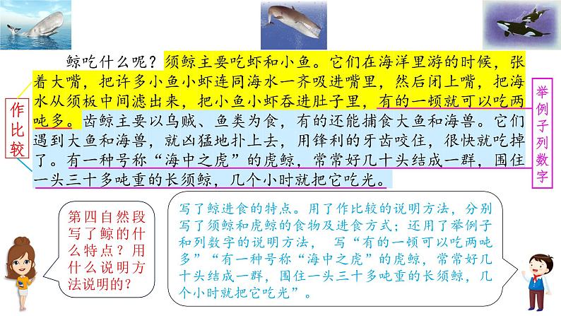 《介绍一种事物》习作教学课件第7页