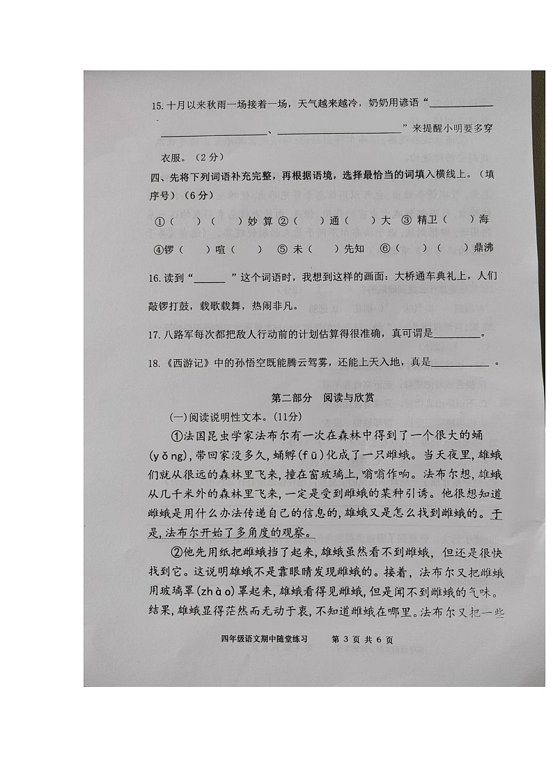 福建省龙岩市武平县2024-2025学年四年级上学期期中语文试题第3页