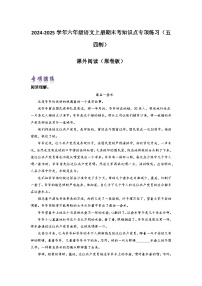 课外阅读-2024-2025学年六年级语文上册期末考前单元复习+专项演练+模拟金卷（部编五四制）（上海专用）