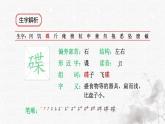 统编版语文五年级下册第2单元6《景阳冈》生字解析课件