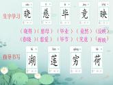 小学语文统编版二年级下册 晓出净慈寺送林子方 课件