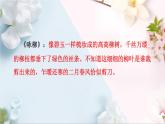 第一单元复习（课件）统编版语文二年级下册