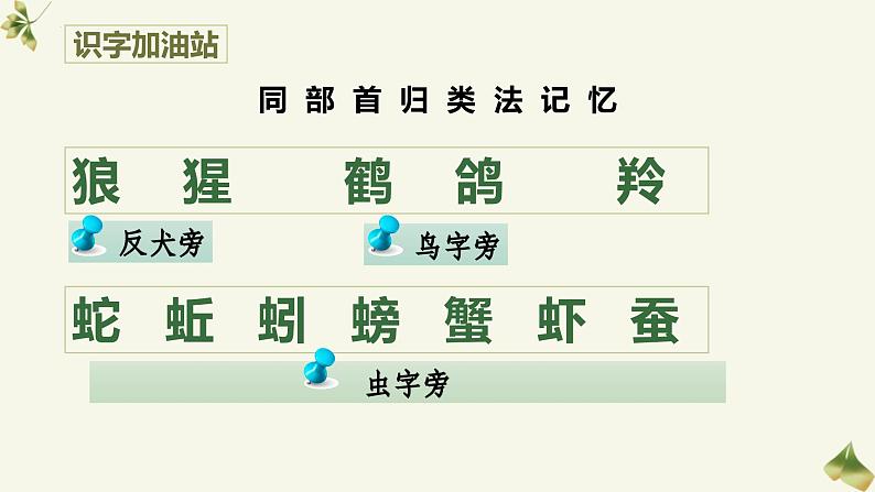 统编版语文二年级上册语文园地八课件第6页