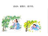 14《我要的是葫芦》课件-2024-2025学年统编版语文二年级上册