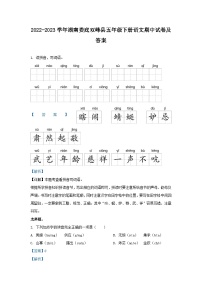 2022-2023学年湖南娄底双峰县五年级下册语文期中试卷及答案