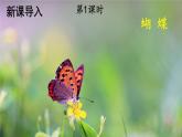 【核心素养】部编版小学语文二下22 小毛虫 第1课时  课件