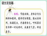 核心素養(yǎng)】部編版小學(xué)語文二下20 蜘蛛開店 第1課時(shí)課件