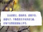核心素養(yǎng)】部編版小學(xué)語文二下20 蜘蛛開店 第1課時(shí)課件