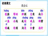 【核心素養(yǎng)】部編版小學(xué)語(yǔ)文二下 17 要是你在野外迷了路 第1課時(shí) 課件