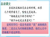 【核心素养】部编版小学语文二下 13 画杨桃 第2课时课件