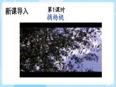 【核心素养】部编版小学语文二下  13 画杨桃 第1课时课件