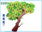 【核心素养】部编版小学语文二下  13 画杨桃 第1课时课件