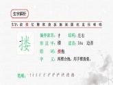 統(tǒng)編版語(yǔ)文五年級(jí)下冊(cè)第4單元13《人物描寫(xiě)一組》生字解析課件