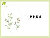 7《小书包》课件-2024-2025学年语文一年级上册统编版