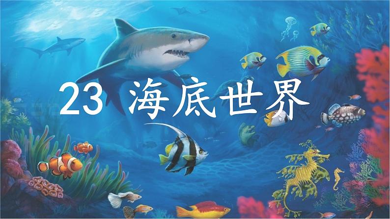 《海底世界》公开课课件第2页