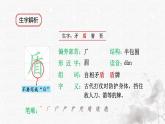統(tǒng)編版語文五年級下冊第6單元15《自相矛盾》生字解析課件