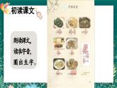 【核心素养】部编版小学语文二年级下册 4 中国美食 课件+教案（含教学反思）+素材