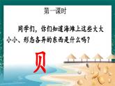 【核心素养】部编版小学语文二年级下册 3 “贝”的故事 课件+教案（含教学反思）+素材